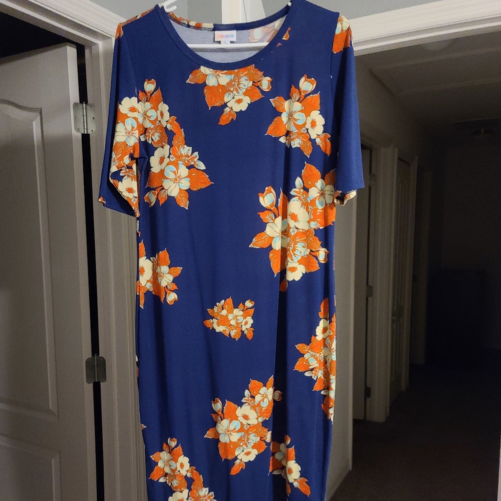 Lularoe Julia dress size L